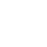 dev-icon